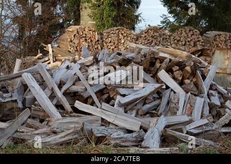 cut wood on a large meadow with cut wood in the background, close up view Stock Photo