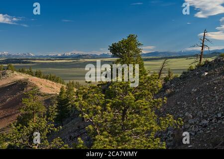 Tree on colorado hillside with rocky mountains in the distance. Hot air balloon ride Stock Photo