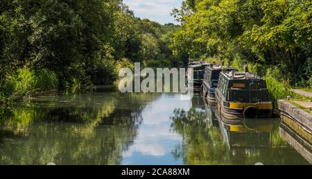 Beautiful Peaceful Landscape, Kennet and Avon Canal, Newbury, Berkshire, England, UK, GB. Stock Photo