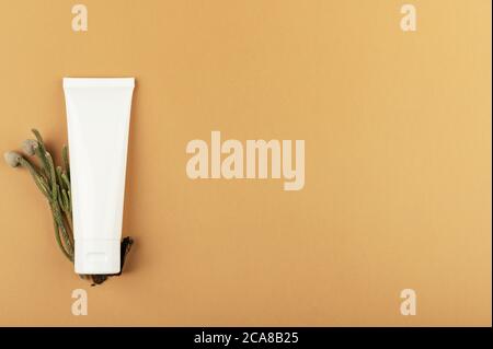White unbranded tube for cream, sunscreen or moisturizing lotion and green plant. Eco-friendly cosmetics product. Natural cosmetology concept. Isolate Stock Photo