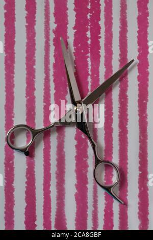 Pair of Creative Max finest hairdressing scissors, hairdresser scissors set on pink & white striped patterned background Stock Photo