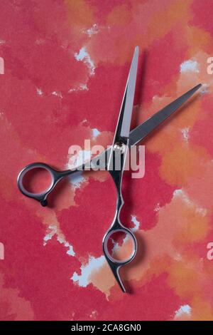 Pair of Creative Max finest hairdressing scissors, hairdresser scissors set on red patterned background Stock Photo