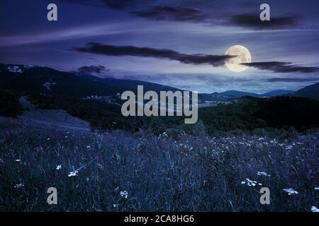 pasture on a sunny day in mountains at night. wonderful countryside landscape of carpathians in full moon light. fluffy clouds on the sky Stock Photo