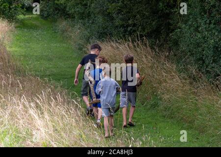 Four young boys at play, carrying a large branch, in Summer in a country park, UK Stock Photo