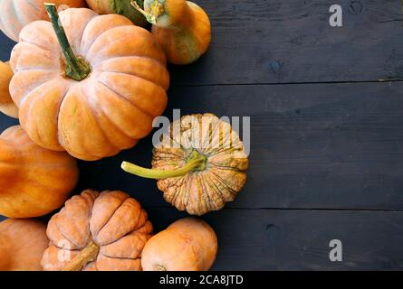 Cucurbita moschata winter squashes and pumpkins varieties on black wooden boards background Stock Photo