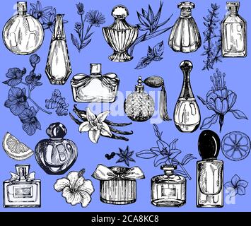 Set of hand drawn sketch style bottles of perfume and plants isolated on blue background. Vector illustration. Stock Vector