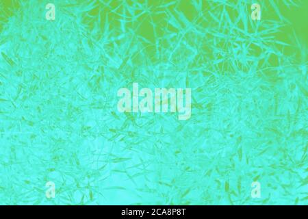Green mint colors background, abstract blurred background, leaves pattern Stock Photo
