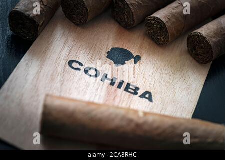 Close up of cigars Cohiba brands in open humidor box on black table in dark. Stock Photo