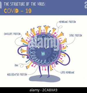 Vector illustration with coronavirus cartoon character. Scheme of the viral structure for a poster for children. Stock Vector