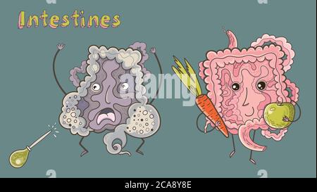 Strong healthy happy Intestine character with apple and carrots. And an unhealthy gut that requires an enema. Digestive tract, Healthy food nutrition, Stock Vector