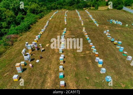 Beekeepers working to collect honey in an area of Florina in northern Greece. Organic beekeeping Stock Photo