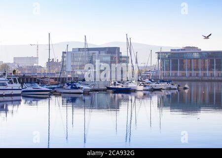 Belfast Harbour Marina, Belfast, Ulster, Northern Ireland, United Kingdom, Europe Stock Photo