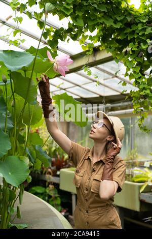 Woman botanist dressed in safari style in greenhouse. Naturalist in khaki clothes exploring aquatic tropical plants in glasshouse, holding stem of pin Stock Photo