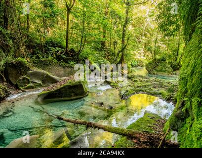 Reach Falls River, Portland Parish, Jamaica, West Indies, Caribbean, Central America Stock Photo