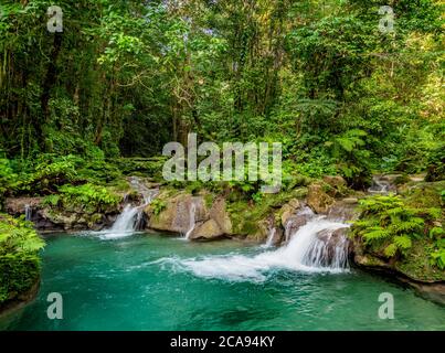 Reach Falls, Portland Parish, Jamaica, West Indies, Caribbean, Central America Stock Photo