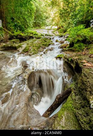 Reach Falls River, Portland Parish, Jamaica, West Indies, Caribbean, Central America Stock Photo