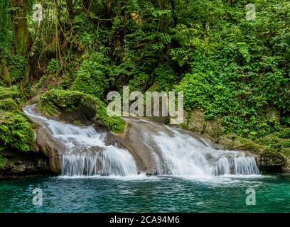 Reach Falls, Portland Parish, Jamaica, West Indies, Caribbean, Central America Stock Photo