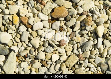 Baltick Sea beach. Natural small pebbles on the rocky seashore, can be usedas texture or backround. Stock Photo