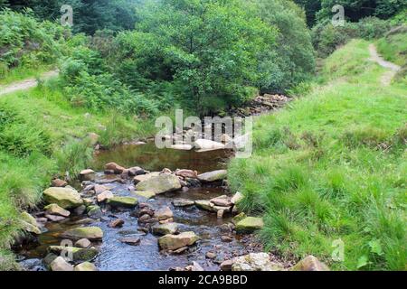 Limestone brook rocky river, Lead Mines Clough in Anglezarke, Chorley, England Stock Photo