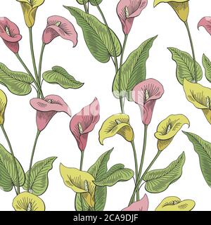 Callas flower graphic color seamless pattern background sketch illustration vector Stock Vector