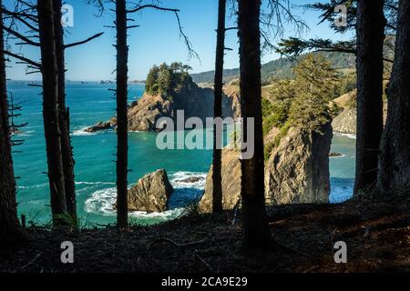 Seastacks and the Pacific Ocean seen through the trees, Windy Point, Arch Rock Picnic Area, Samuel H. Boardman State Park, Oregon Stock Photo