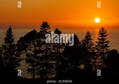 Sunset over the Pacific Ocean with silhouetted trees, Little River, Mendocino County, California Stock Photo