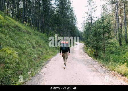 Young male nature explorer walking on the dirt road through the forest Stock Photo
