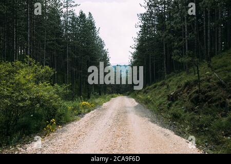 View of the dirt road going through the mountain forest Stock Photo