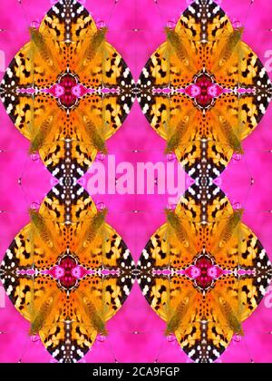 Digitally reflected image of a Painted Lady butterfly (Vanessa cardui) feeding on a purple flower Stock Photo
