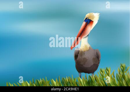 Colorful pelican sitting in grass on ocean background. Vector Stock Vector