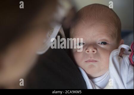 Six-month-old premature baby looks at the camera, eyes wide open Stock Photo