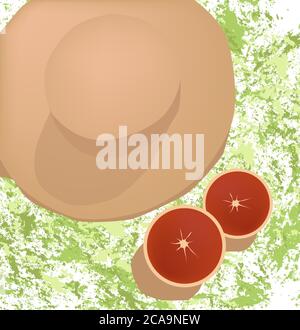 Summer composition with two halves of grapefruit and hat on green splashed background. Vector Stock Vector