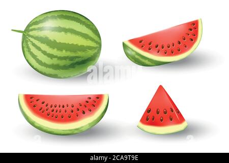 Realistic fresh watermelon set. Juicy watermelon isolated on white. Tropical fruits vector illustration Stock Vector