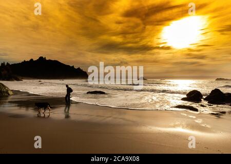 Sunset mood at the pacific ocean, man walking with his dog on the sand Stock Photo
