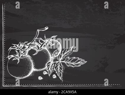 Vector template with a branch of tomatoes stylized as chalk drawing on chalkboard.Design for a restaurant, cafe or bar Stock Vector