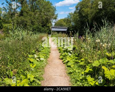 Pickletimber Railway Bridge No 65, Kennet and Avon Canal, Newbury, Berkshire, England, UK, GB. Stock Photo