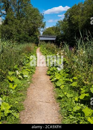 Pickletimber Railway Bridge No 65, Kennet and Avon Canal, Newbury, Berkshire, England, UK, GB. Stock Photo