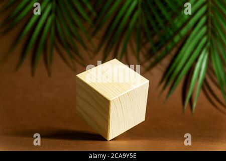 Design concept - geometric real wooden cube with surreal layout on green tropical leaves background. Stock Photo