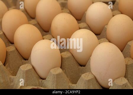 Close up many fresh brown chicken eggs in tray carton at retail display of farmers market, high angle view Stock Photo