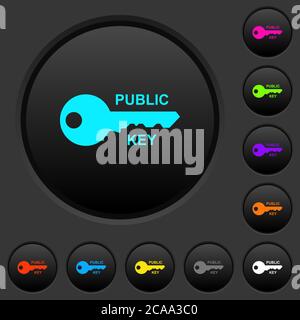 Public key dark push buttons with vivid color icons on dark grey background Stock Vector