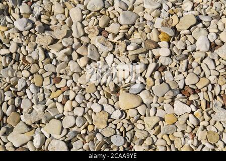 Baltick Sea beach. Natural small pebbles on the rocky seashore, can be usedas texture or backround. Stock Photo