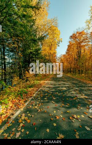 Fall colors Multicolor autumn Stock Photo - Alamy