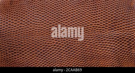 Texture of the brown leather of a young crocodile as a background. Banner Stock Photo