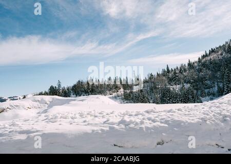 Winter forest strewn with snow against the background of the blue sky and drifts of snow. Stock Photo