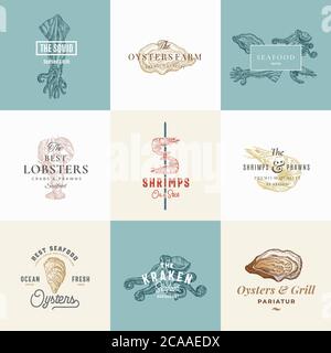 Set of Premium Quality Retro Seafood Vector Signs or Logo Templates. Hand Drawn Vintage Sketches with Classy Typography, Shrimp, Oyster, Squid Stock Vector