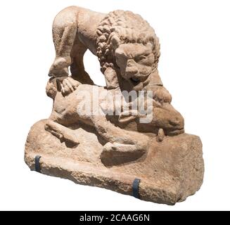 The Roman Corbridge Lion sculpture, isolated on a white background, seen in the Corbridge Roman site museum in Northumberland, England, UK Stock Photo