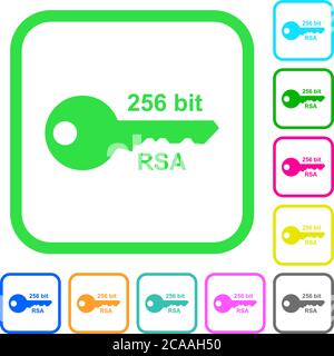 256 bit rsa encryption vivid colored flat icons in curved borders on white background Stock Vector