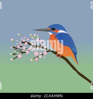 A digital vector drawing in of a kingfisher. The kingfisher sits quietly on a branch with pink blossom The background is a blue green gradient Stock Vector