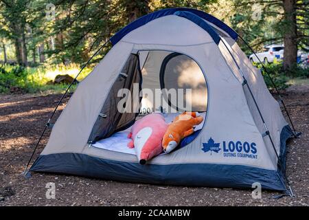 Cedar City, AUG 1, 2020 -Morning view of a LOGOS tent at Duck Creek Campground Stock Photo