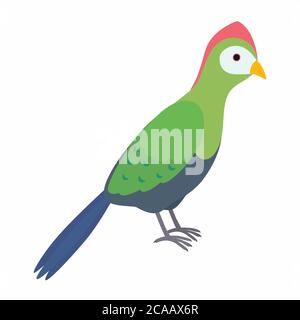 Green turaco bird. Vector illustration isolated on white background. Stock Vector